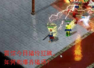 �𾪽������ۿ�쭣����ˢ����������