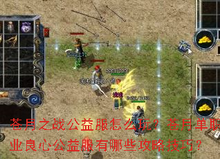 ����֮ս�������ô�棿���µ�ְҵ���Ĺ��������Щ���Լ��ɣ�