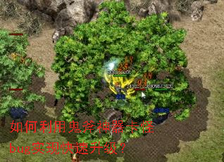 ������ù�����������bugʵ�ֿ���������