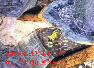 ��ο���������ְҵ������ʽ���Ľ�ɫ�ȼ���