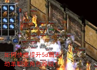 ��ο�������5d����ٵ�ְҵ��ɫ�ȼ���