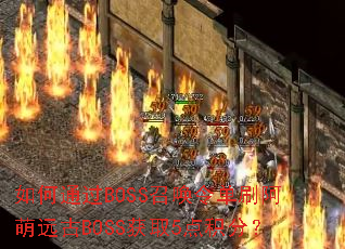 ���ͨ��BOSS�ٻ��ˢ����Զ��BOSS��ȡ5����֣�
