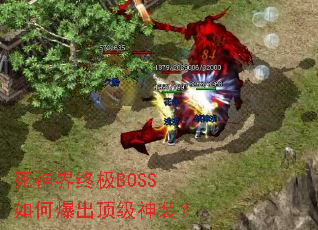 ������ռ�BOSS��α���������װ��