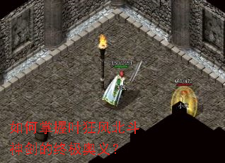 �������Ҷ��籱���񽣵��ռ����壿