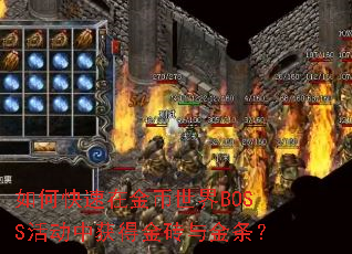 ��ο����ڽ������BOSS��л�ý�ש�������