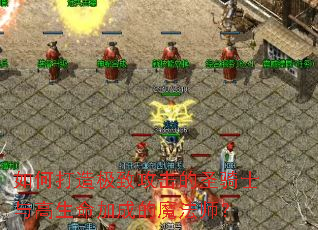 ��δ��켫�¹�����ʥ��ʿ��������ӳɵ�ħ��ʦ��