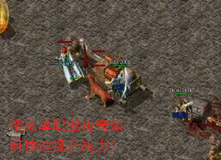 ���鵥ְҵ������ο�������ս����