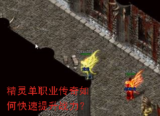 ���鵥ְҵ������ο�������ս����