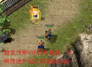 ���䴫��VIP��ʢ�磺��ο���������ȡ����װ����