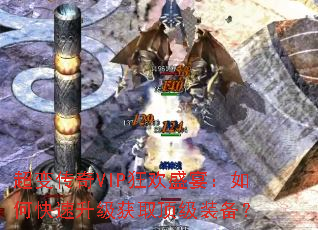 ���䴫��VIP��ʢ�磺��ο���������ȡ����װ����