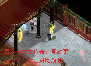 ħ���븴�Ŵ��棺�Ŀ���ʺ��㣿ȫ��ԱȽ���