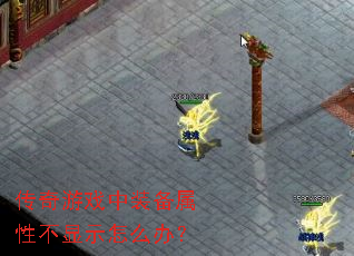 ������Ϸ��װ�����Բ���ʾ��ô�죿