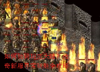 ��γ۳��귨��½�������·�Ѱ����ʤȫ����