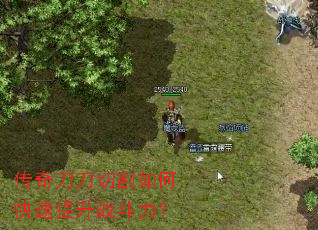 ���浶���и���ο�������ս������