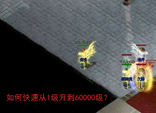 ��ο��ٴ�1������60000����