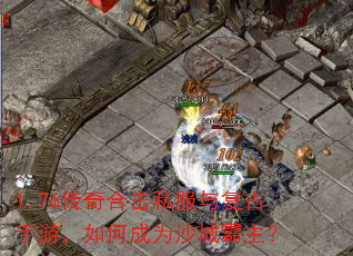 1.76����ϻ�˽���븴�����Σ���γ�Ϊɳ�ǰ�����