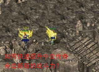 如何快速提升中变传奇合击新服的战斗力? 如何快速提升中变传奇合击新服的战斗力?