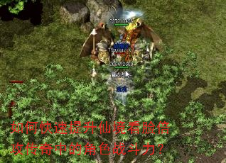 如何快速提升仙境看脸倍攻传奇中的角色战斗力? 如何快速提升仙境看脸倍攻传奇中的角色战斗力?