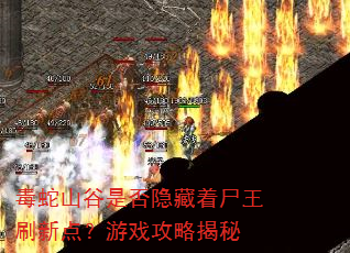 毒蛇山谷是否隐藏着尸王刷新点?游戏攻略揭秘 毒蛇山谷是否隐藏着尸王刷新点?游戏攻略揭秘