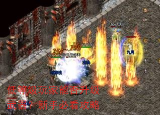 低等级玩家能否升级武器?新手必看攻略 低等级玩家能否升级武器?新手必看攻略