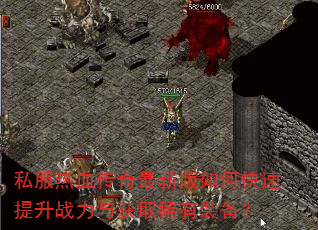 私服热血传奇最新版如何快速提升战力与获取稀有装备? 私服热血传奇最新版如何快速提升战力与获取稀有装备?