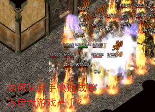 如何从新手快速成长为传奇游戏高手? 如何从新手快速成长为传奇游戏高手?