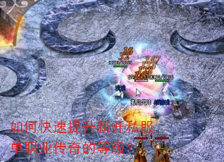 如何快速提升新开私服单职业传奇的等级? 如何快速提升新开私服单职业传奇的等级?