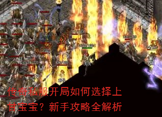 传奇私服开局如何选择上甘宝宝?新手攻略全解析 传奇私服开局如何选择上甘宝宝?新手攻略全解析