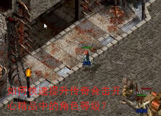 如何快速提升传奇合击开心精品中的角色等级? 如何快速提升传奇合击开心精品中的角色等级?