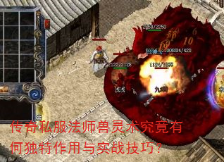 传奇私服法师兽灵术究竟有何独特作用与实战技巧? 传奇私服法师兽灵术究竟有何独特作用与实战技巧?