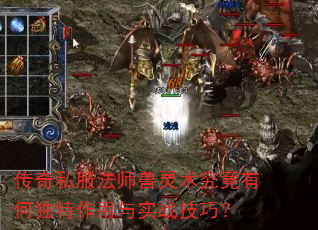 传奇私服法师兽灵术究竟有何独特作用与实战技巧? 传奇私服法师兽灵术究竟有何独特作用与实战技巧?