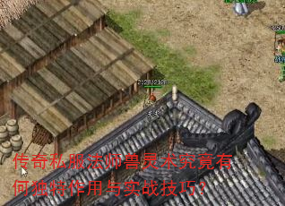 传奇私服法师兽灵术究竟有何独特作用与实战技巧? 传奇私服法师兽灵术究竟有何独特作用与实战技巧?
