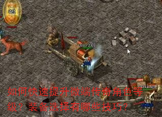 如何快速提升微端传奇角色等级?装备选择有哪些技巧? 如何快速提升微端传奇角色等级?装备选择有哪些技巧?