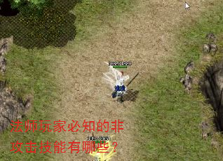 法师玩家必知的非攻击技能有哪些? 法师玩家必知的非攻击技能有哪些?