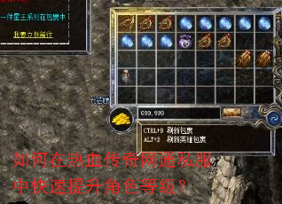 如何在热血传奇网通私服中快速提升角色等级? 如何在热血传奇网通私服中快速提升角色等级?