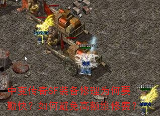 �б䴫��SFװ������Ϊ��Ҫ�ڿ죿��α���߶�ά�޷ѣ�