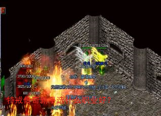 �ؽ䴫������ѡʲôְҵ�ã�