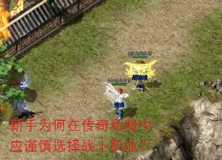 新手为何在传奇私服中应谨慎选择战士职业? 新手为何在传奇私服中应谨慎选择战士职业?