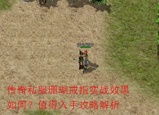传奇私服珊瑚戒指实战效果如何?值得入手攻略解析 传奇私服珊瑚戒指实战效果如何?值得入手攻略解析