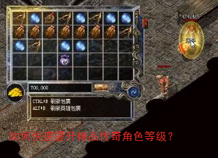 如何快速提升精品传奇角色等级? 如何快速提升精品传奇角色等级?
