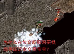 为什么在传奇新服网要找同等级玩家交易宝宝? 为什么在传奇新服网要找同等级玩家交易宝宝?