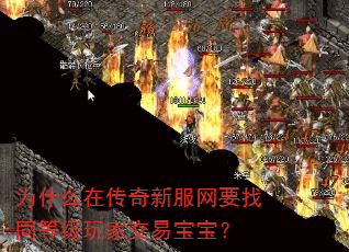 为什么在传奇新服网要找同等级玩家交易宝宝? 为什么在传奇新服网要找同等级玩家交易宝宝?