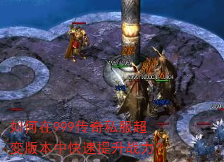 �����999����˽������汾�п�������ս����