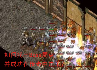 ����ҳ�Boss���㲢�ɹ��ڴ����л�ɱ��