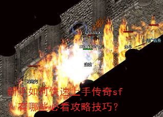 新手如何快速上手传奇sf?有哪些必看攻略技巧? 新手如何快速上手传奇sf?有哪些必看攻略技巧?