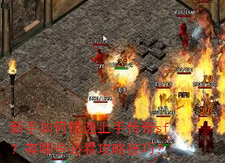 新手如何快速上手传奇sf?有哪些必看攻略技巧? 新手如何快速上手传奇sf?有哪些必看攻略技巧?