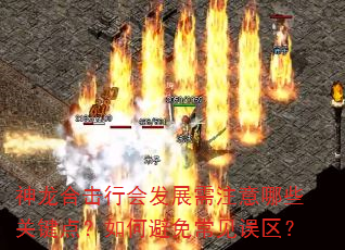 神龙合击行会发展需注意哪些关键点?如何避免常见误区? 神龙合击行会发展需注意哪些关键点?如何避免常见误区?