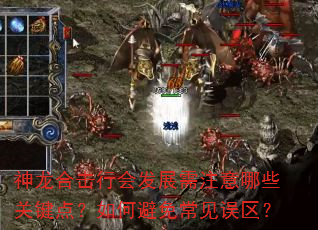 神龙合击行会发展需注意哪些关键点?如何避免常见误区? 神龙合击行会发展需注意哪些关键点?如何避免常见误区?