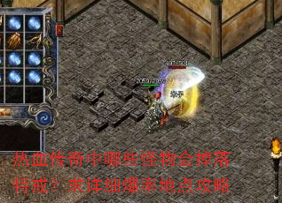 热血传奇中哪些怪物会掉落特戒?求详细爆率地点攻略 热血传奇中哪些怪物会掉落特戒?求详细爆率地点攻略